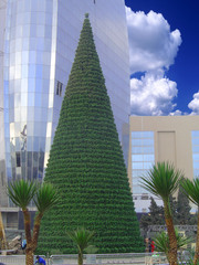 Giant artificial Christmas trees!