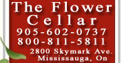 The Flower Cellar - Mississauga's #1 Florist!
