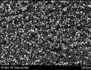 Amine-Terminated Magnetic Silica Beads